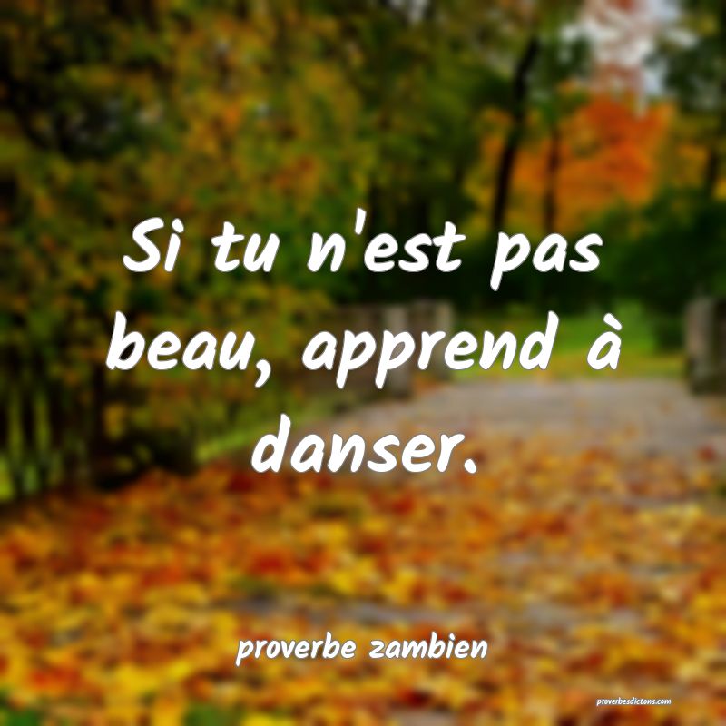  Si tu n'est pas beau, apprend à danser.