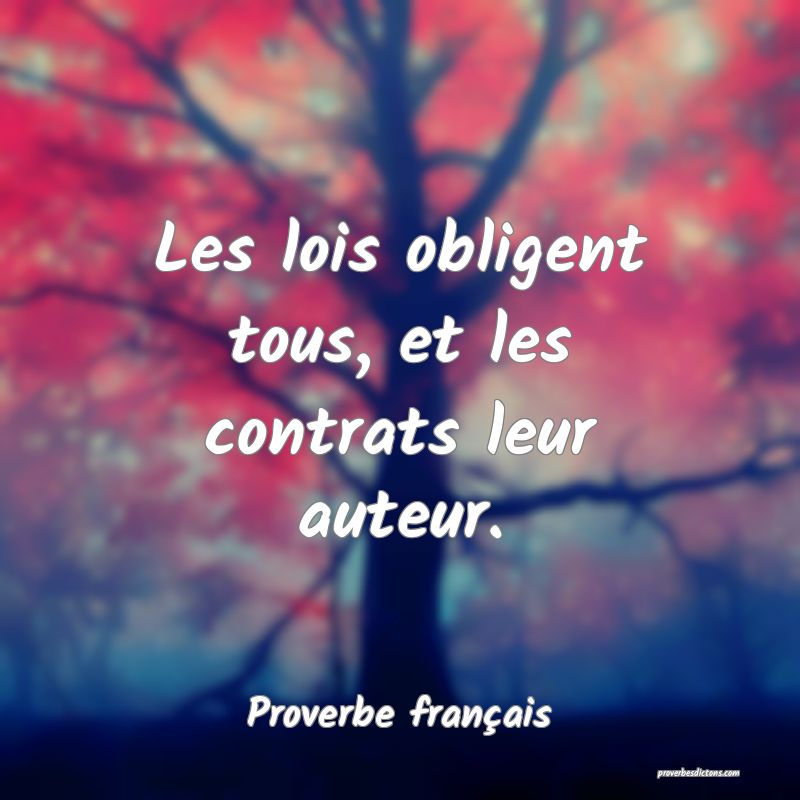 Les lois obligent tous, et les contrats leur auteur.