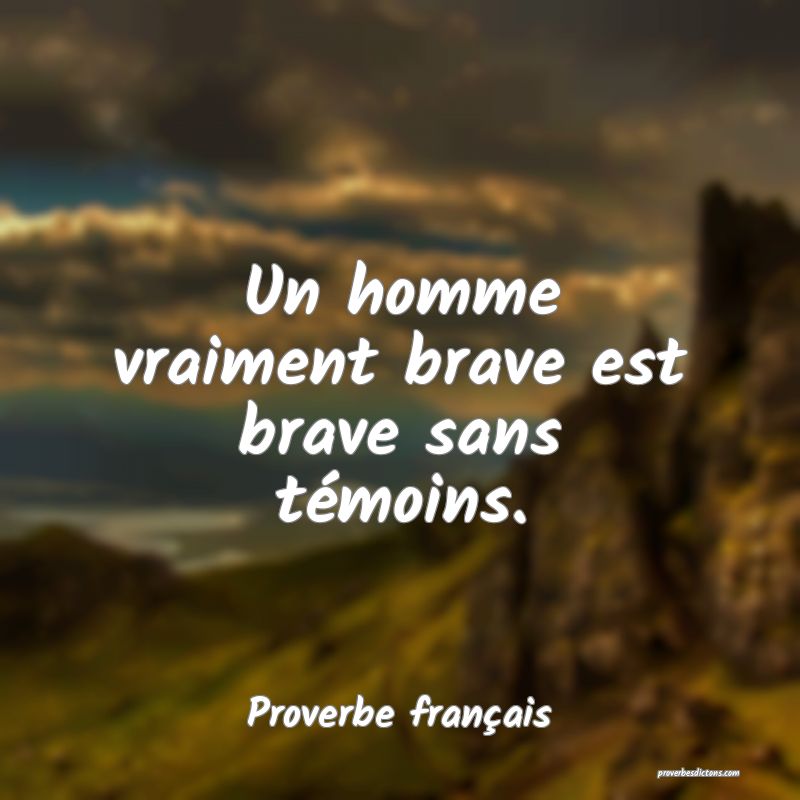 Un homme vraiment brave est brave sans témoins.