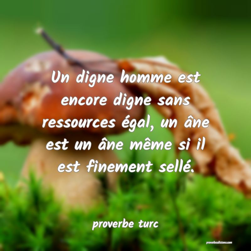  Un digne homme est encore digne sans ressources égal, un âne est un âne même si il est finement sellé.