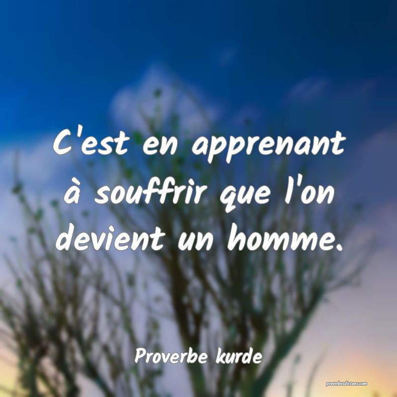 C'est en apprenant à souffrir que l'on devient un homme.
