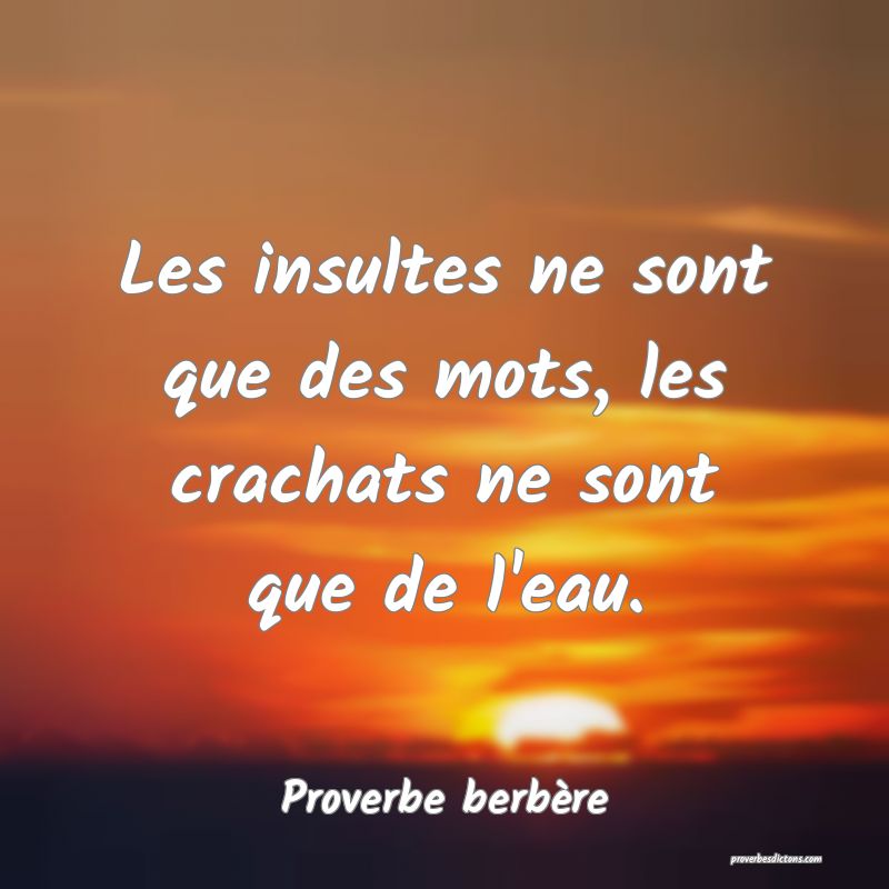 Les insultes ne sont que des mots, les crachats ne sont que de l'eau.