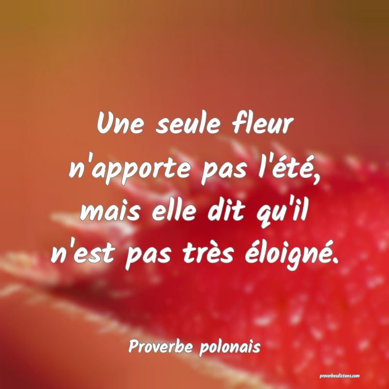 Une seule fleur n'apporte pas l'été, mais elle dit qu'il n'est pas très éloigné.