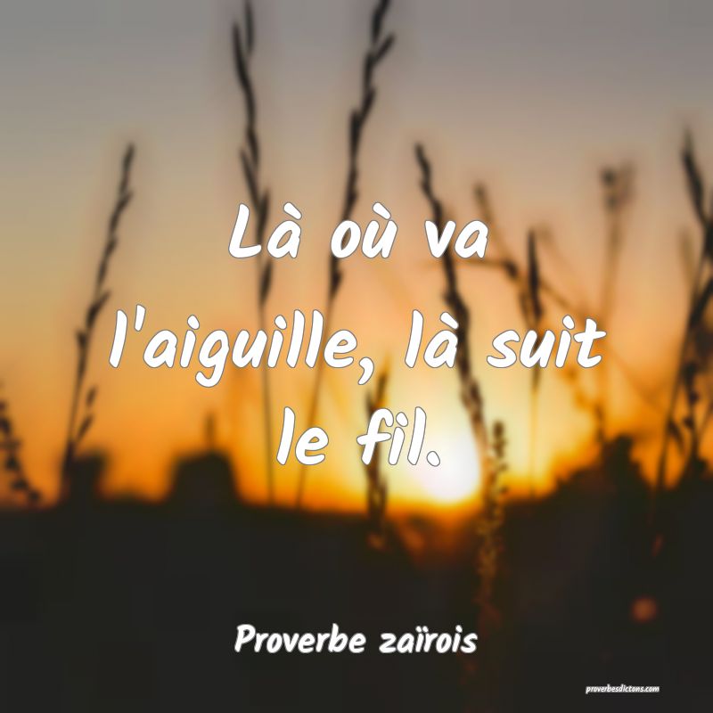 Là où va l'aiguille, là suit le fil.