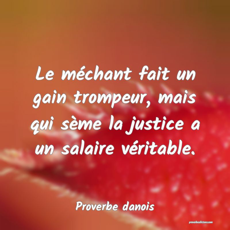 Le méchant fait un gain trompeur, mais qui sème la justice a un salaire véritable.