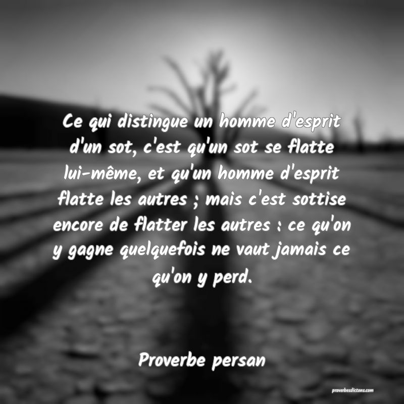 Ce qui distingue un homme d'esprit d'un sot, c'est qu'un sot se flatte lui-même, et qu'un homme d'esprit flatte les autres ; mais c'est sottise encore de flatter les autres : ce qu'on y gagne quelquefois ne vaut jamais ce qu'on y perd.