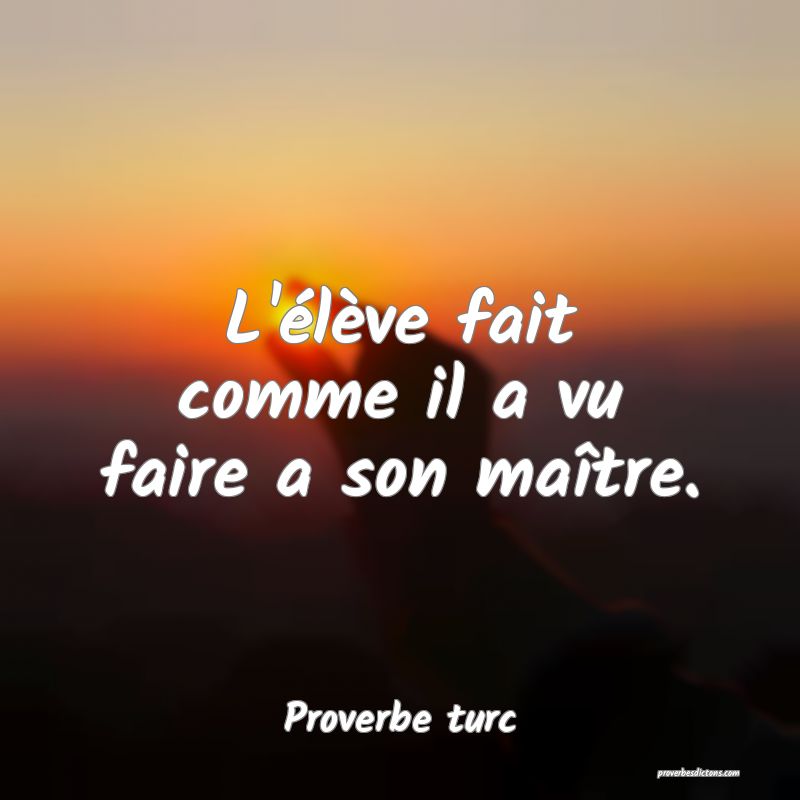 L'élève fait comme il a vu faire a son maître.