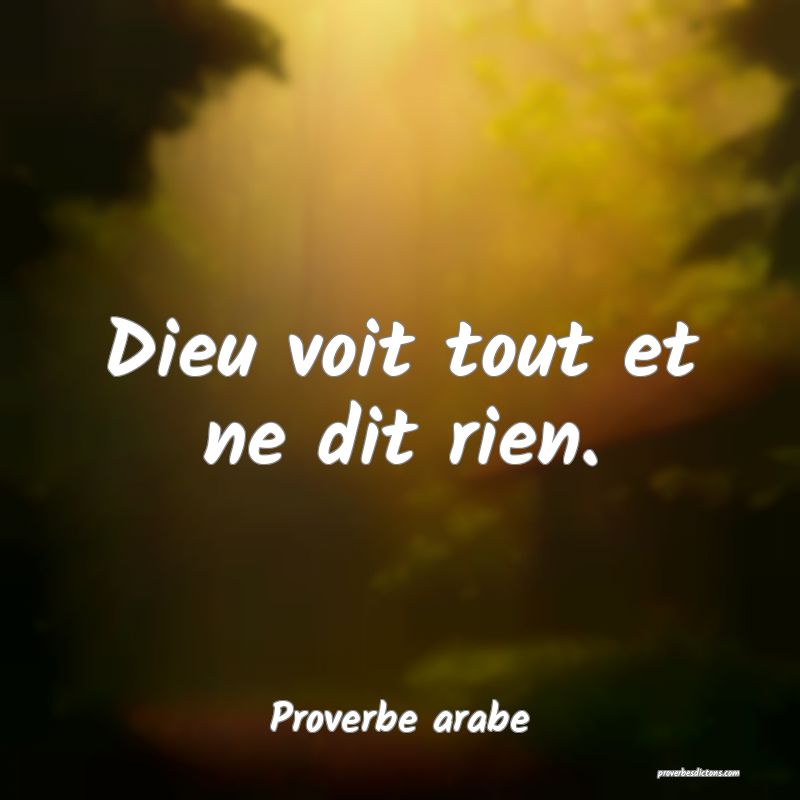 Dieu voit tout et ne dit rien.