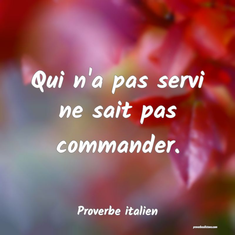 Qui n'a pas servi ne sait pas commander.