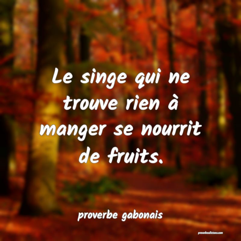  Le singe qui ne trouve rien à manger se nourrit de fruits.