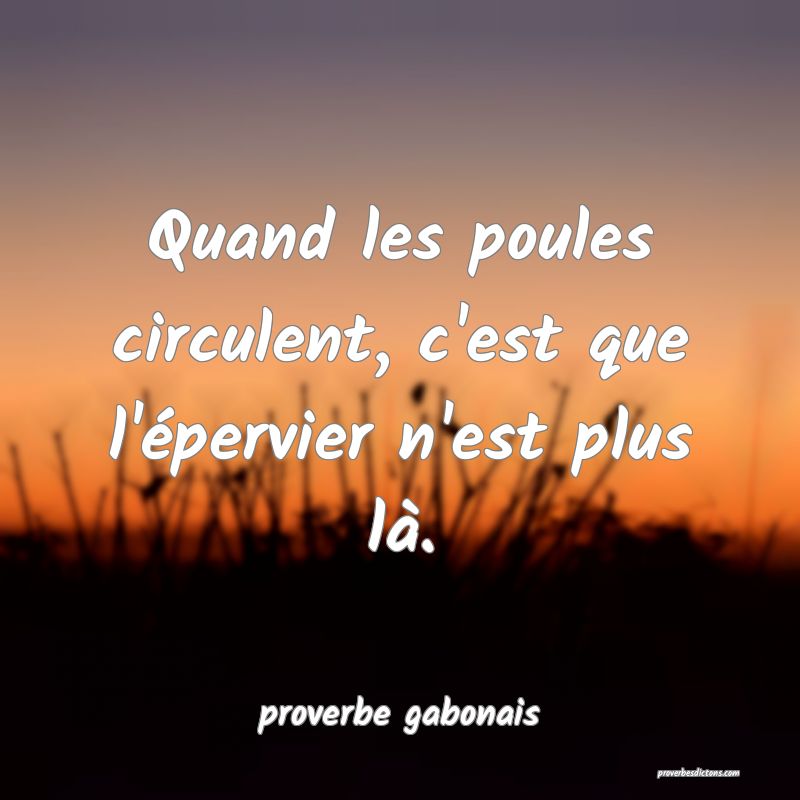  Quand les poules circulent, c'est que l'épervier n'est plus là.