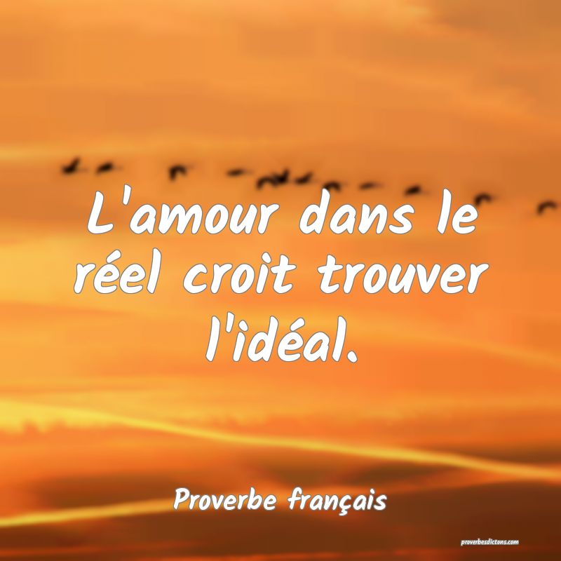 L'amour dans le réel croit trouver l'idéal.