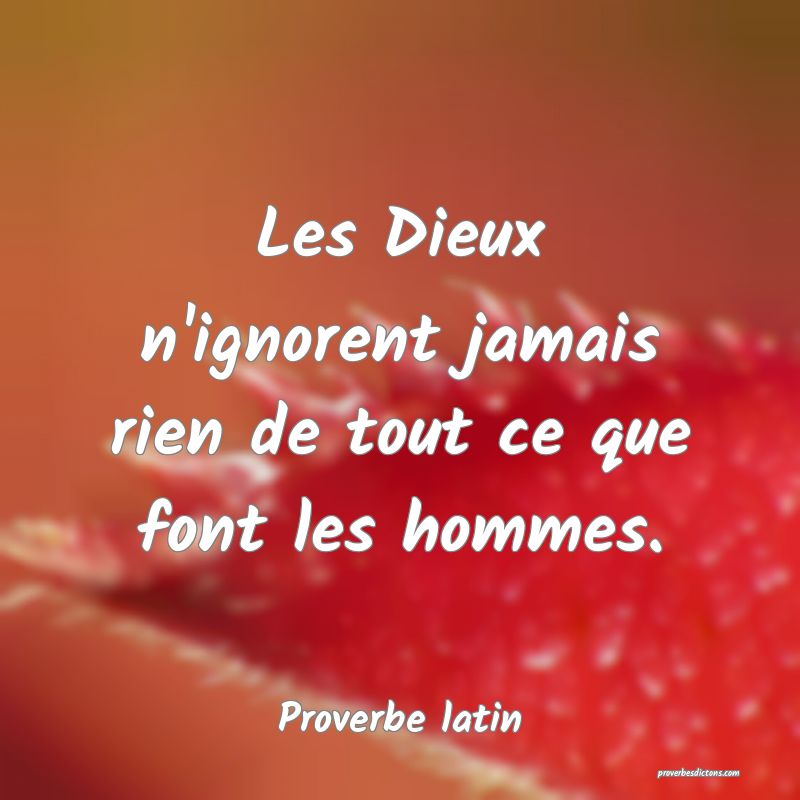 Les Dieux n'ignorent jamais rien de tout ce que font les hommes.