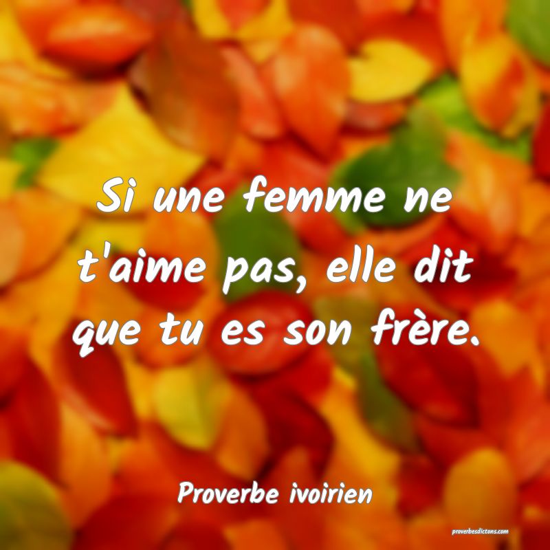Si une femme ne t'aime pas, elle dit que tu es son frère.