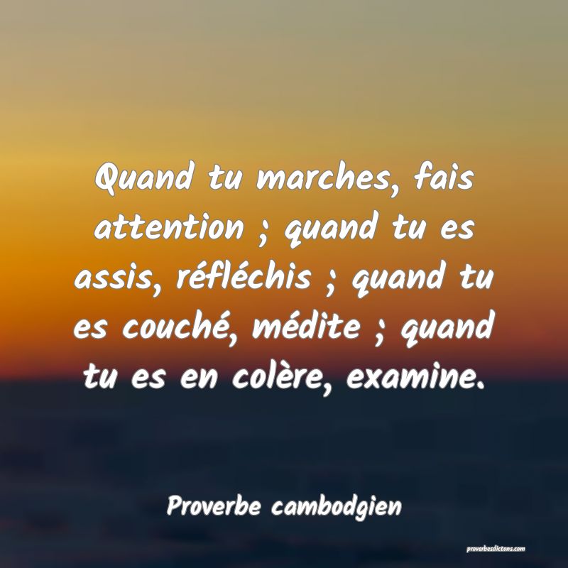Quand tu marches, fais attention ; quand tu es assis, réfléchis ; quand tu es couché, médite ; quand tu es en colère, examine.