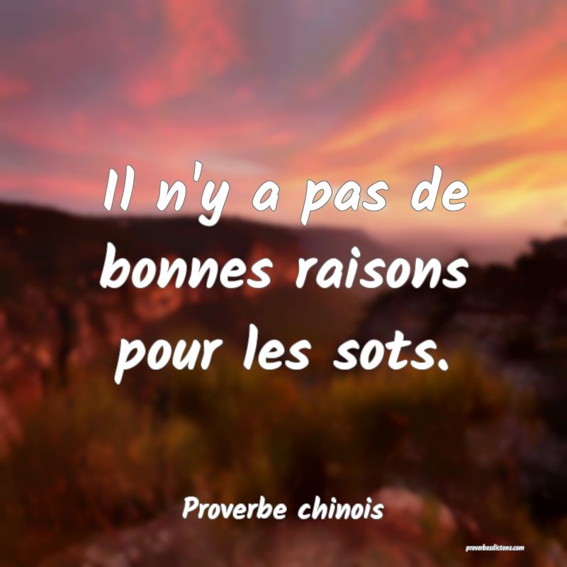 Il n'y a pas de bonnes raisons pour les sots.