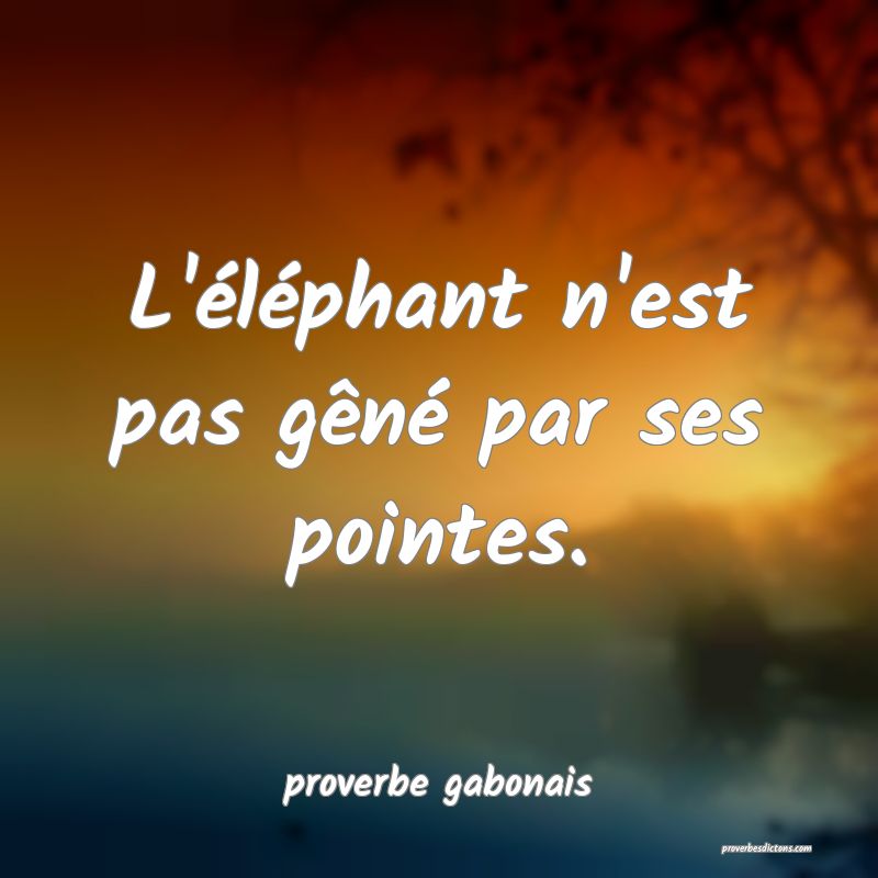  L'éléphant n'est pas gêné par ses pointes.
