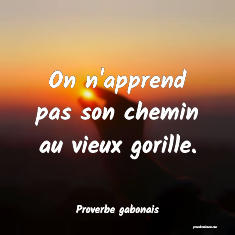 On n'apprend pas son chemin au vieux gorille.
