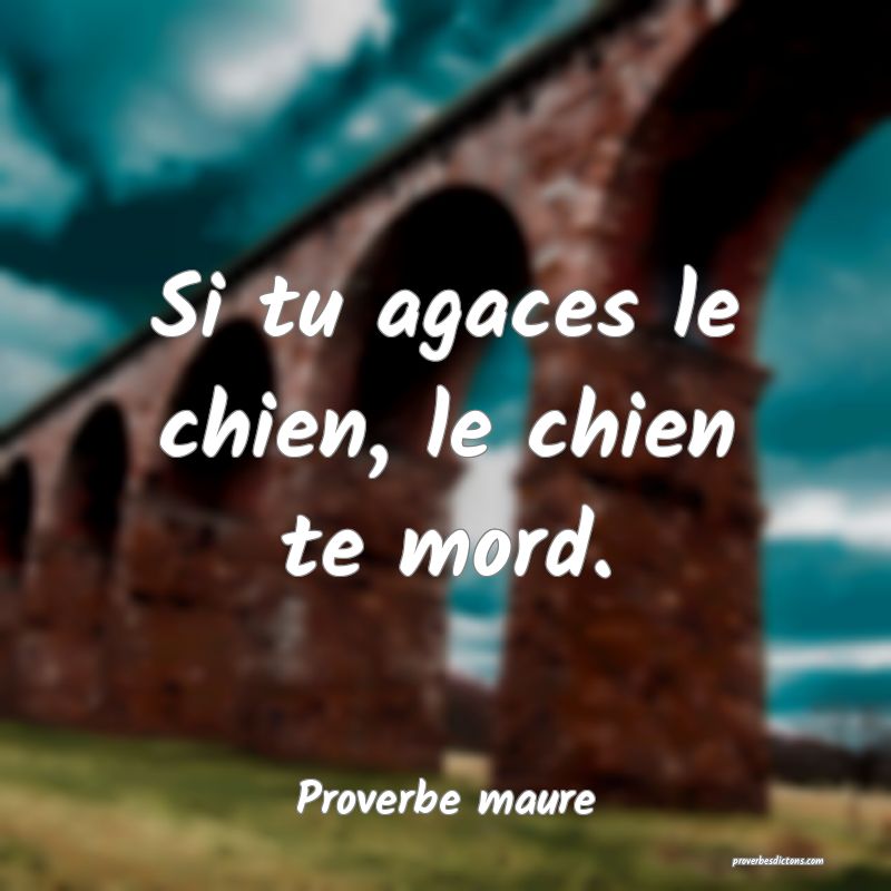 Si tu agaces le chien, le chien te mord.