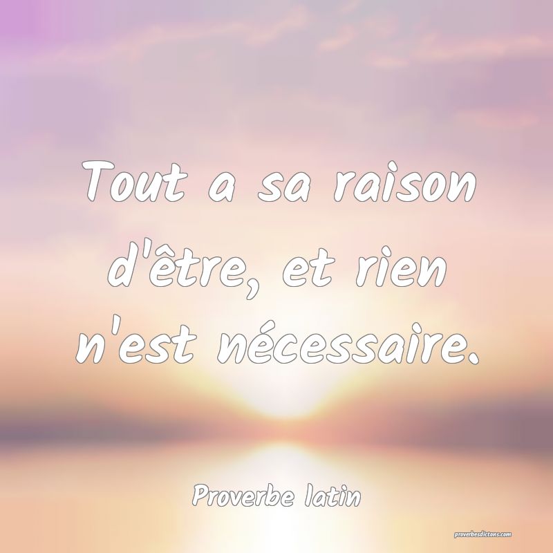 Tout a sa raison d'être, et rien n'est nécessaire.