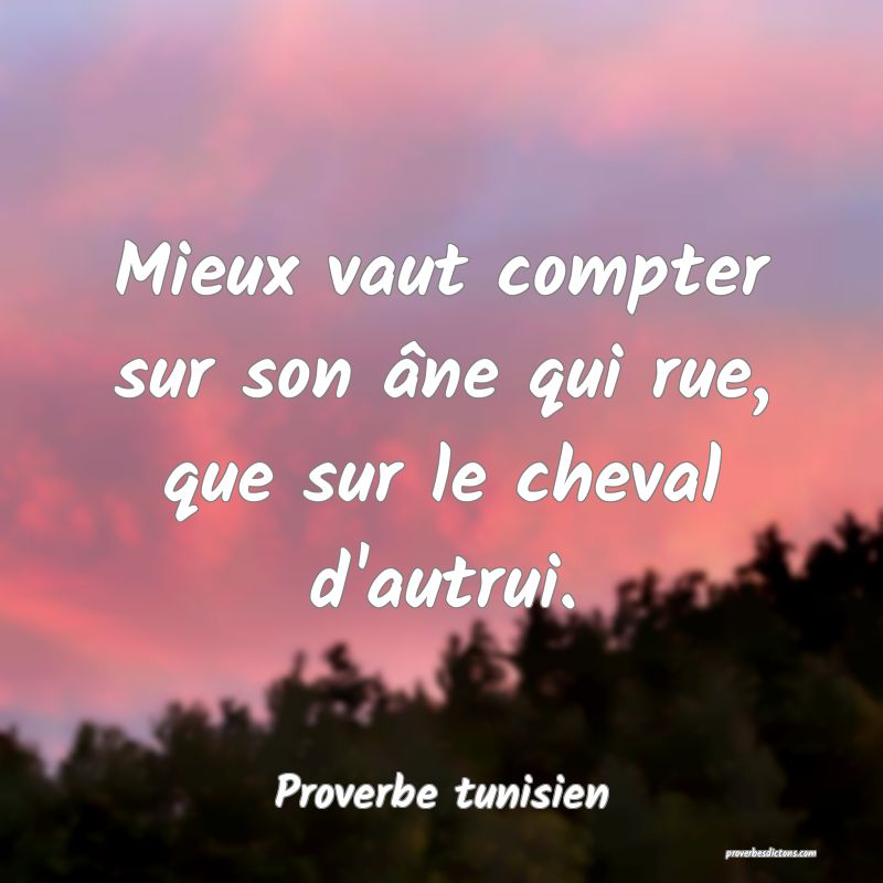 Mieux vaut compter sur son âne qui rue, que sur le cheval d'autrui.