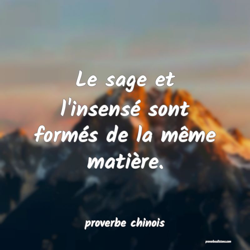  Le sage et l'insensé sont formés de la même matière.