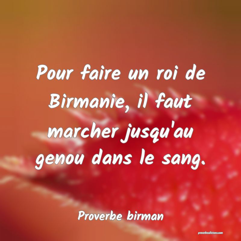 Pour faire un roi de Birmanie, il faut marcher jusqu'au genou dans le sang.