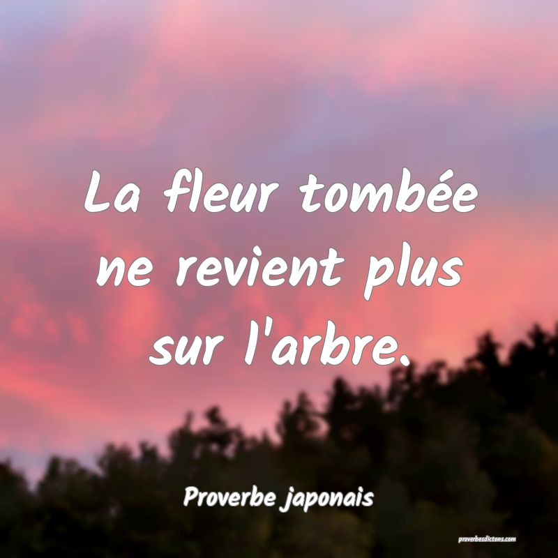 La fleur tombée ne revient plus sur l'arbre.