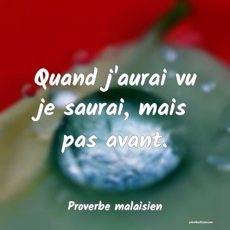 Quand j'aurai vu je saurai, mais pas avant.