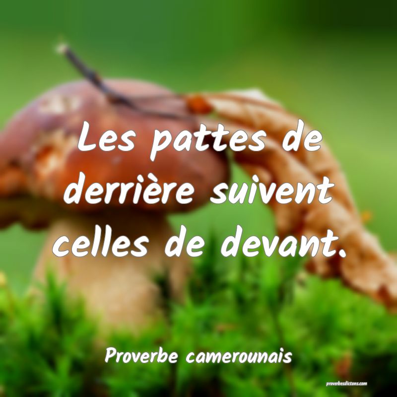 Les pattes de derrière suivent celles de devant.