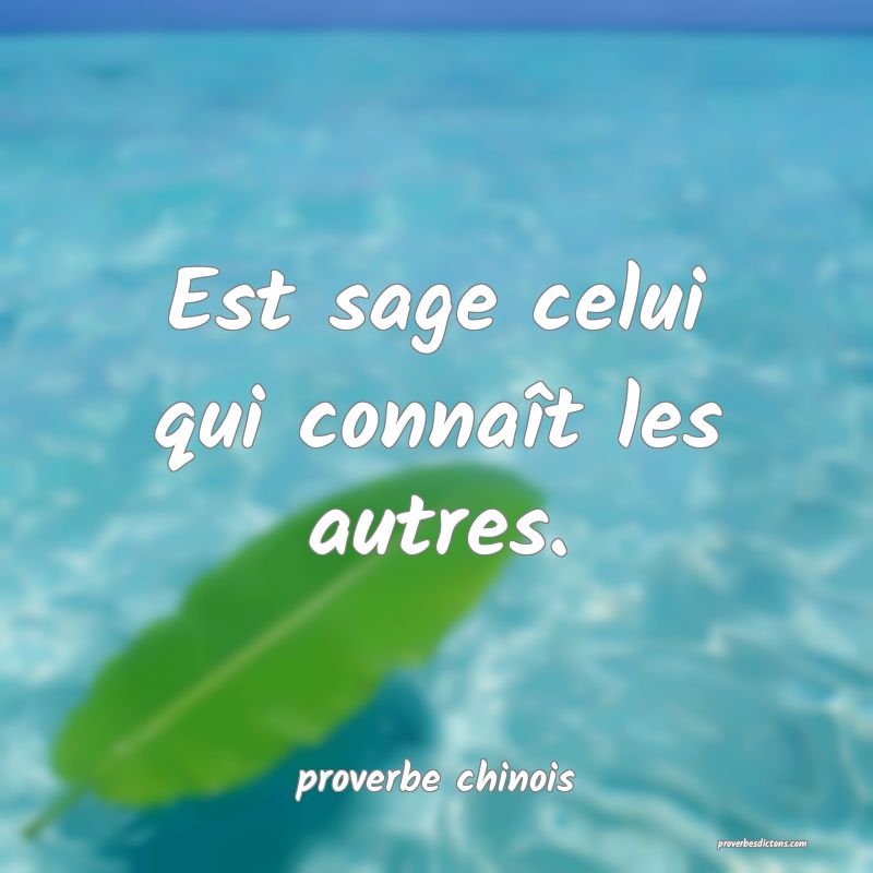  Est sage celui qui connaît les autres.