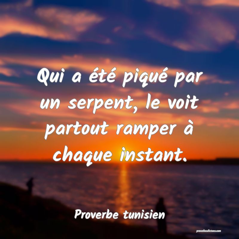 Qui a été piqué par un serpent, le voit partout ramper à chaque instant.