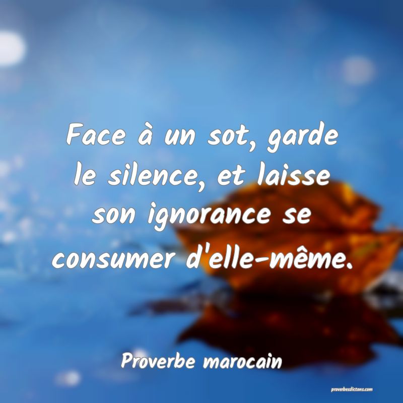Face à un sot, garde le silence, et laisse son ignorance se consumer d'elle-même.