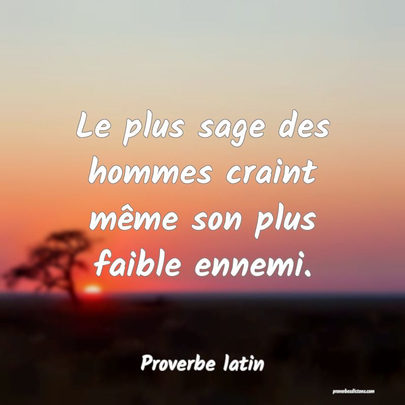 Le plus sage des hommes craint même son plus faible ennemi.