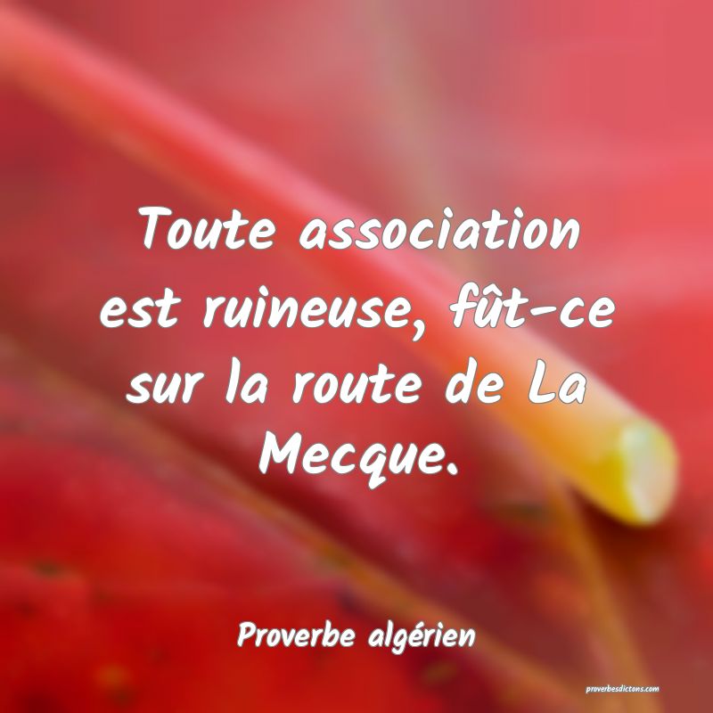 Toute association est ruineuse, fût-ce sur la route de La Mecque.