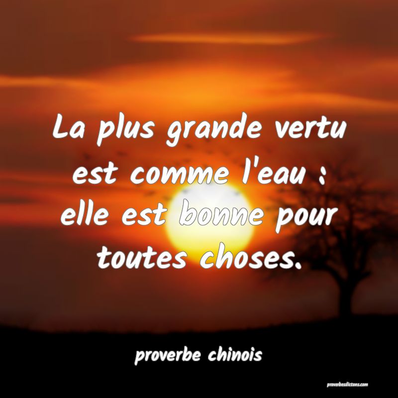  La plus grande vertu est comme l'eau : elle est bonne pour toutes choses.