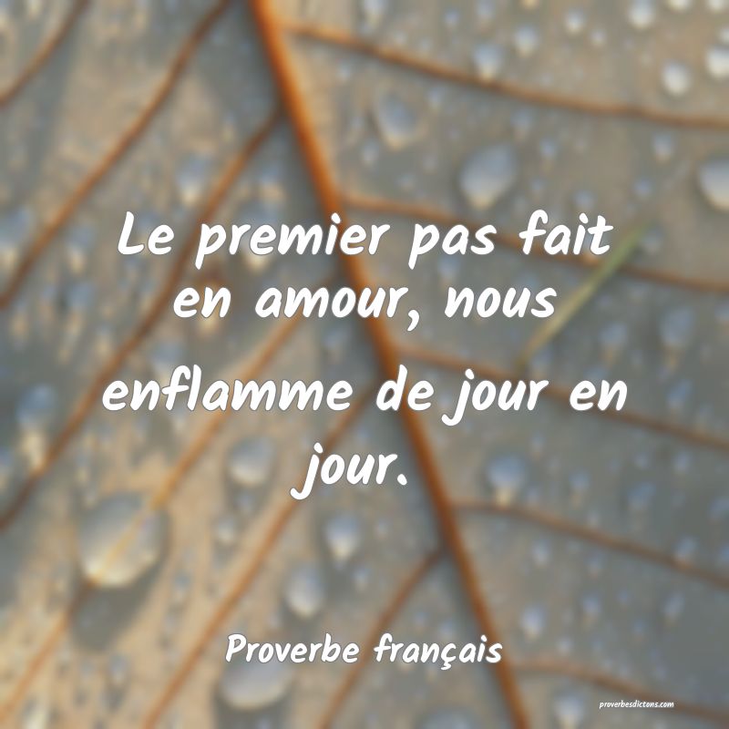 Le premier pas fait en amour, nous enflamme de jour en jour.