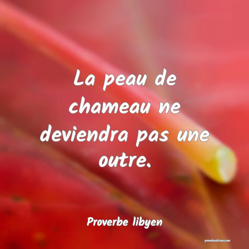 La peau de chameau ne deviendra pas une outre.