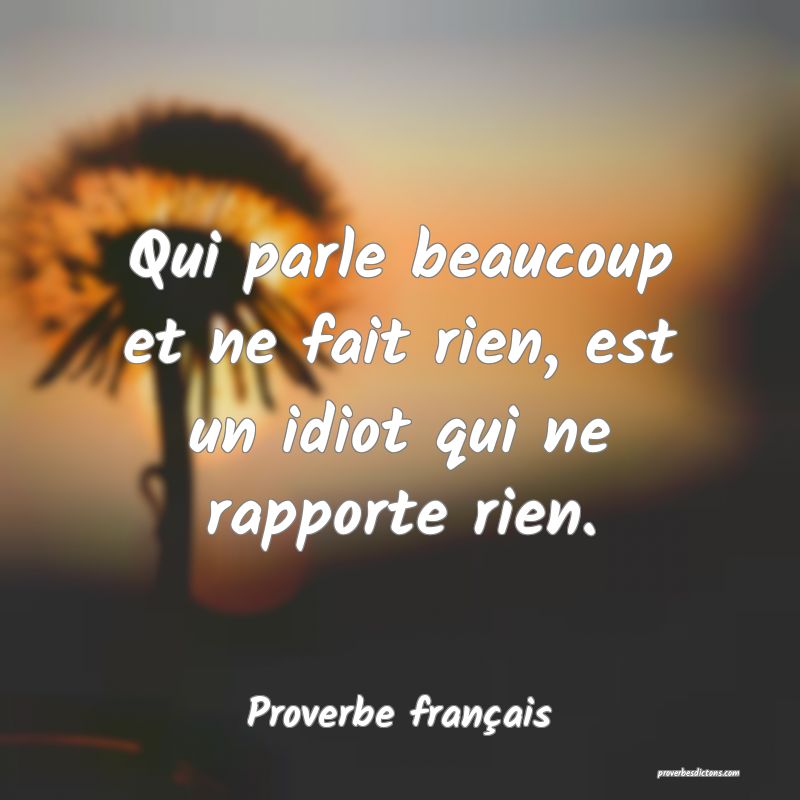 Qui parle beaucoup et ne fait rien, est un idiot qui ne rapporte rien.