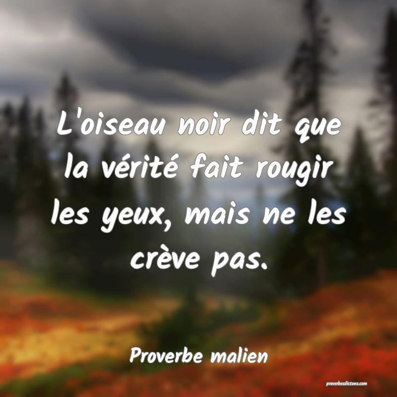 L'oiseau noir dit que la vérité fait rougir les yeux, mais ne les crève pas.