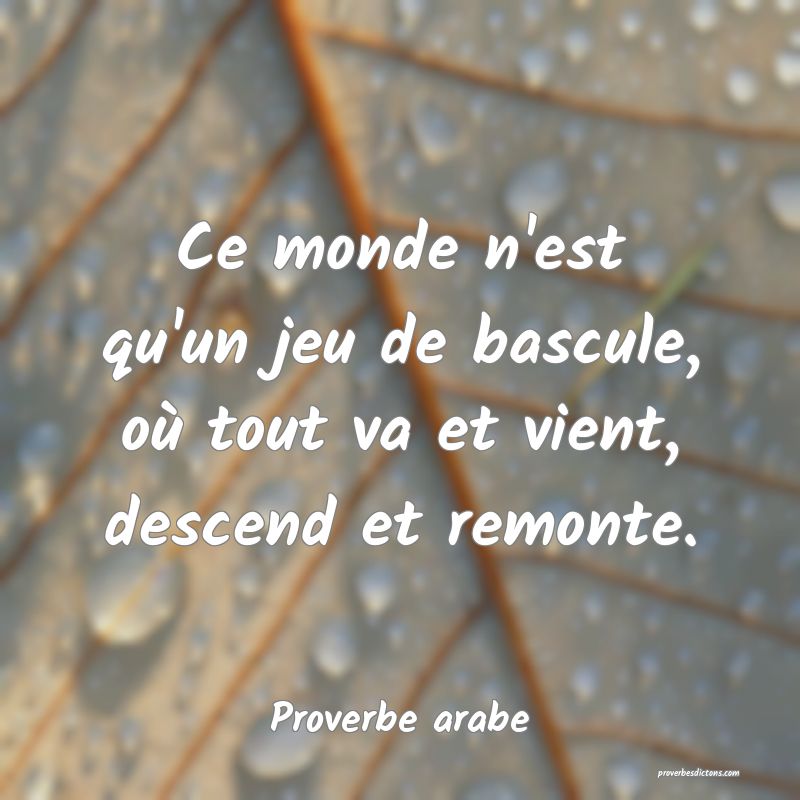 Ce monde n'est qu'un jeu de bascule, où tout va et vient, descend et remonte.
