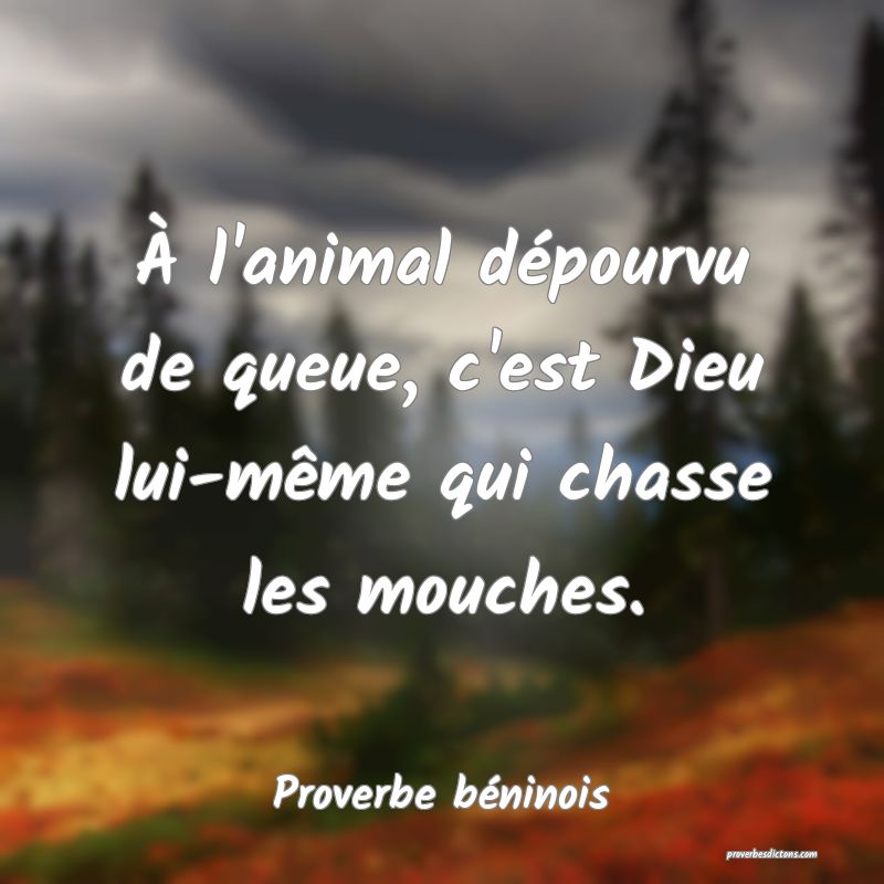 À l'animal dépourvu de queue, c'est Dieu lui-même qui chasse les mouches.