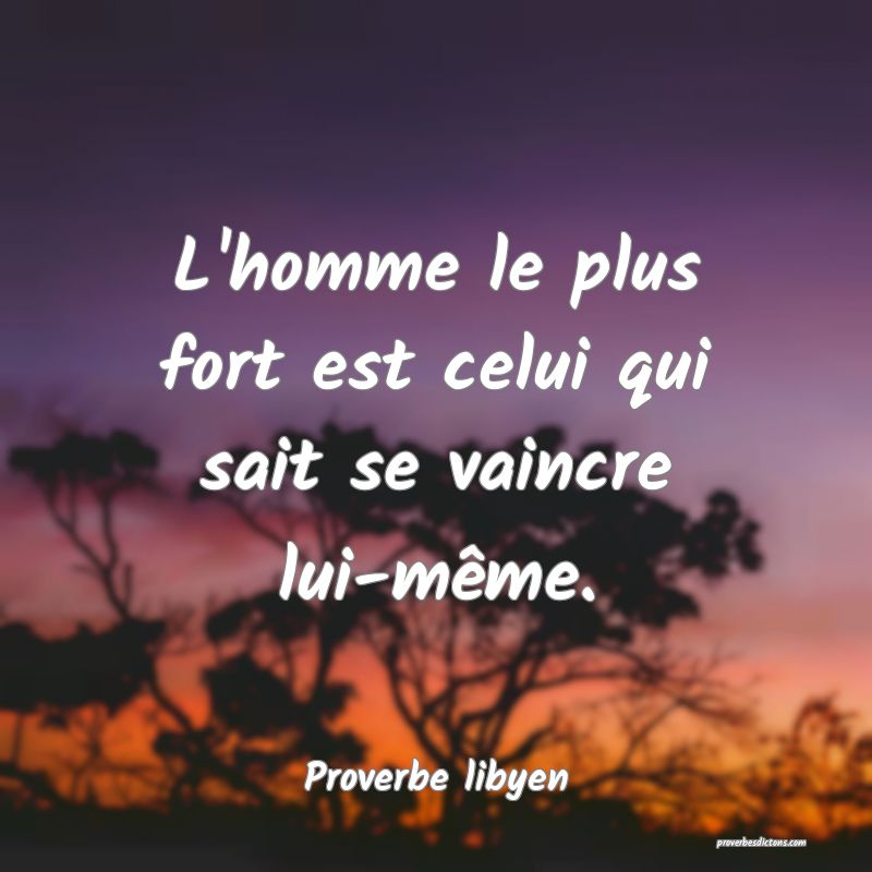 L'homme le plus fort est celui qui sait se vaincre lui-même.