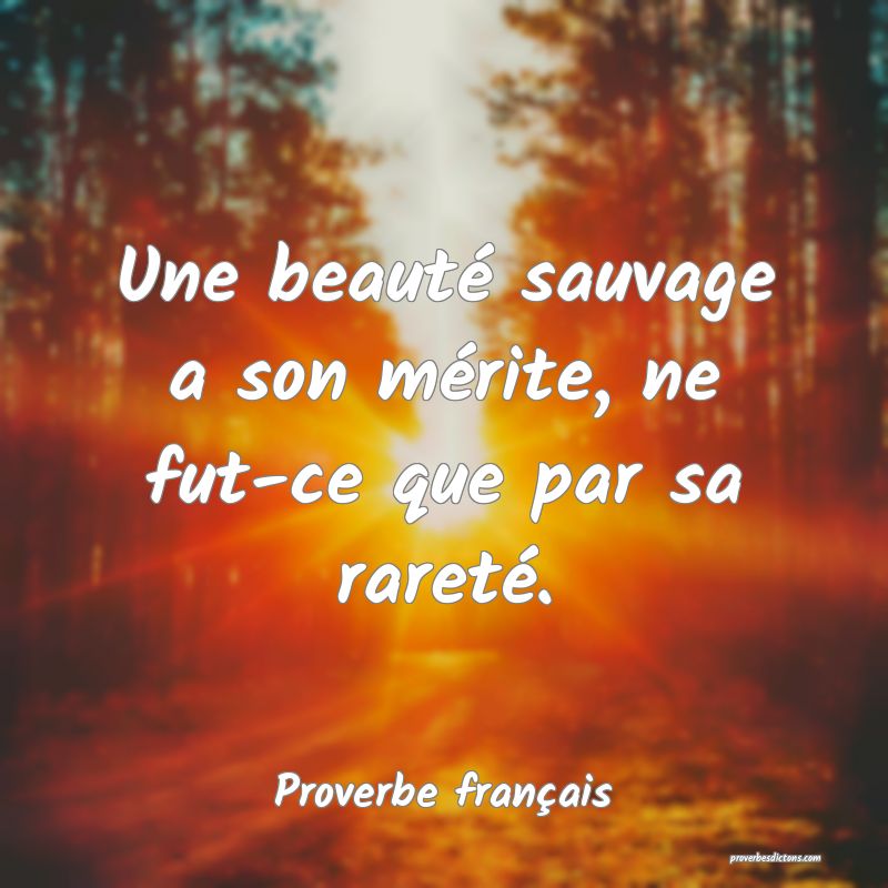 Une beauté sauvage a son mérite, ne fut-ce que par sa rareté.