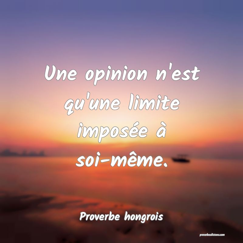 Une opinion n'est qu'une limite imposée à soi-même.