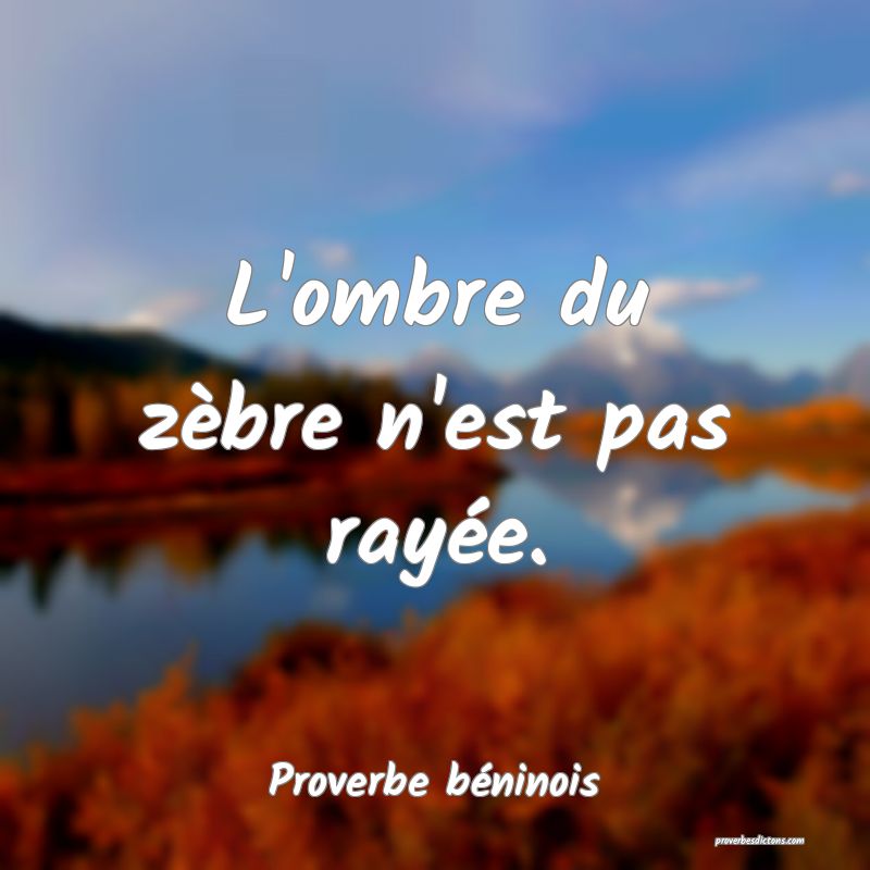 L'ombre du zèbre n'est pas rayée.
