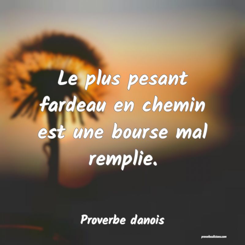 Le plus pesant fardeau en chemin est une bourse mal remplie.