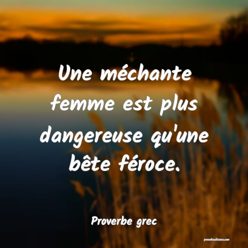 Une méchante femme est plus dangereuse qu'une bête féroce.
