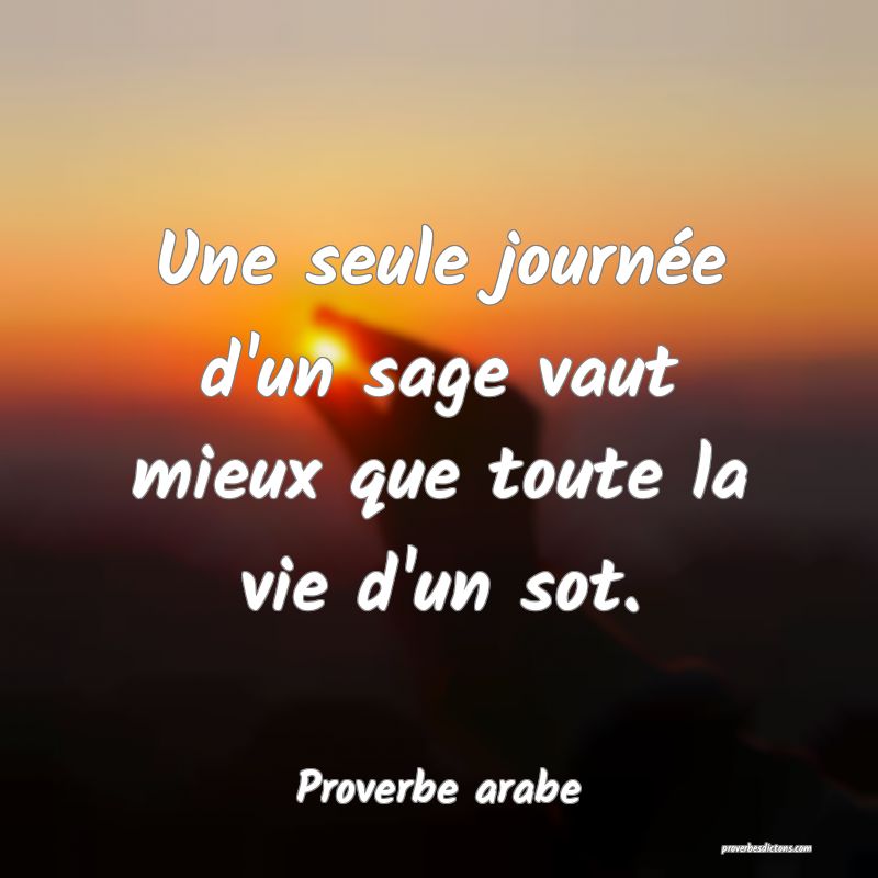 Une seule journée d'un sage vaut mieux que toute la vie d'un sot.