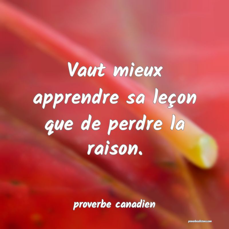  Vaut mieux apprendre sa leçon que de perdre la raison.